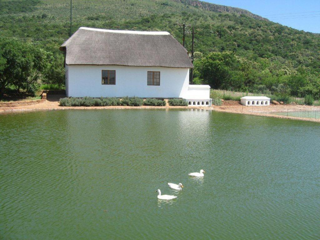 Steynshoop Self-Catering Valley Lodge Hekpoort المظهر الخارجي الصورة